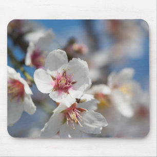 Mandelblüte Mousepad