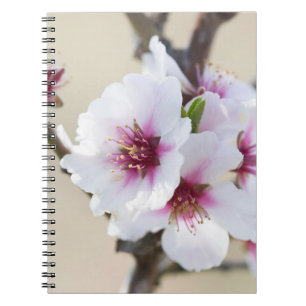 Mandelblüte Notizblock
