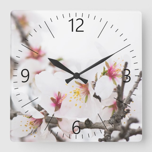 Mandelblüte Quadratische Wanduhr (Vorderseite)