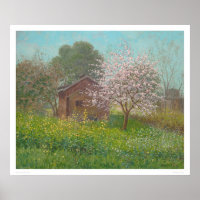 Mandelblüten und WildSenf (1152)