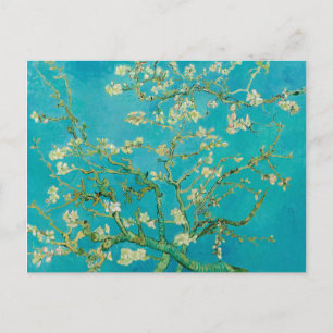 Mandelblüten von Vincent van Gogh (1890) Postkarte