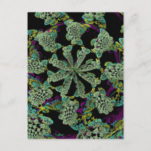 Mandelbulb Fractel 2 Postkarte