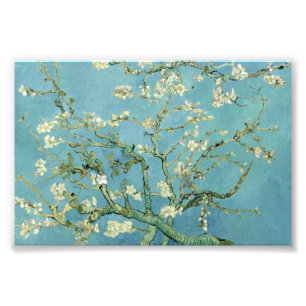 Mandelfluten von Van Gogh Feine Kunst Fotodrucke Fotodruck