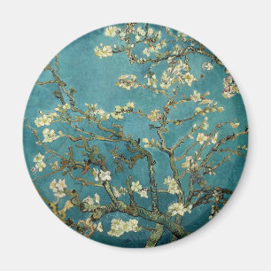 Mandelzweige in Blüte Magnet