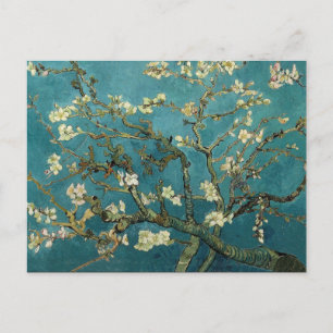 Mandelzweige in Blüte Postkarte