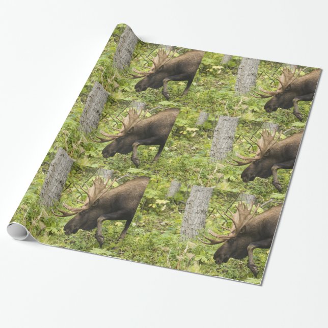 Mandering Moose Geschenkpapier (Ungerollt)