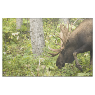 Mandering Moose Stoff