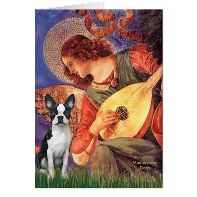 Mandolin Angel - Boston Terrier #1 (Vorne)