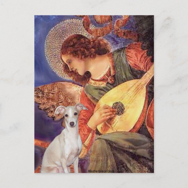 Mandolin Angel - Italienischer Windhund 7 Postkarte (Vorderseite)