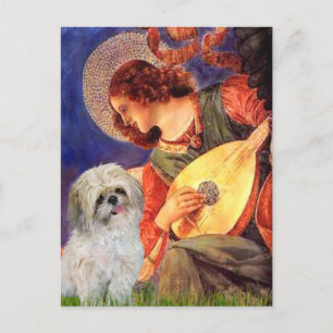 Mandolin Angel - Shih Tzu (P) Postkarte
