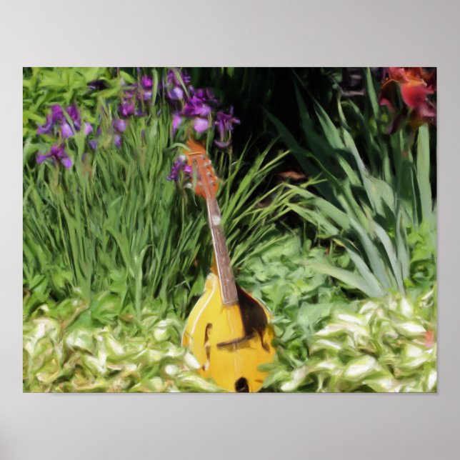 Mandolin Iris Blumen Garden Foto Malerei Poster (Vorne)