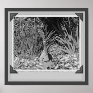 Mandolin Iris Garden Black and White Print Poster