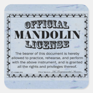Mandolin License Square Sticker