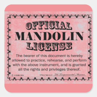 Mandolin License Square Sticker