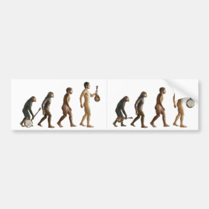 Mandolution Autoaufkleber