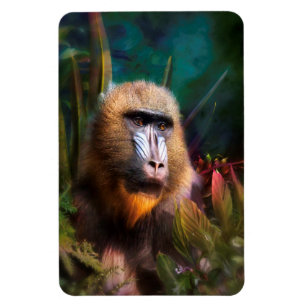 Mandril Baboon MASK IN DER JUNGLE Magnet