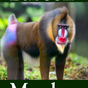 Mandril-Porträt-Puzzle Puzzle