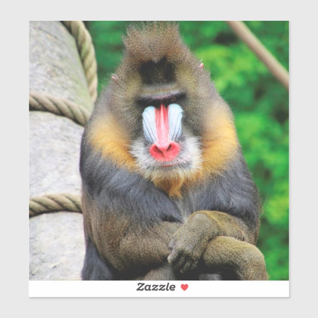 Mandrill 001 aufkleber (Blatt)
