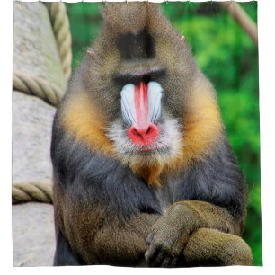 Mandrill 001 duschvorhang