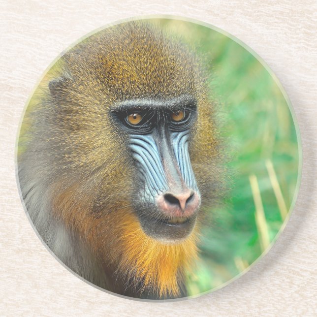 Mandrill 002 getränkeuntersetzer (Vorne)