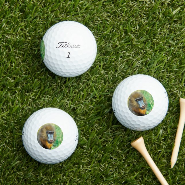 Mandrill 002 golfball (Insitu Gras)