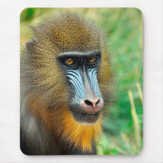 Mandrill 002 mousepad (Vorne)
