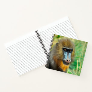 Mandrill 002 notizbuch
