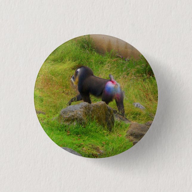 Mandrill #4 Pinback Button (Vorderseite)