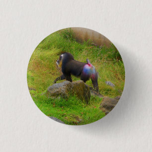 Mandrill #4 Pinback Knopf Button
