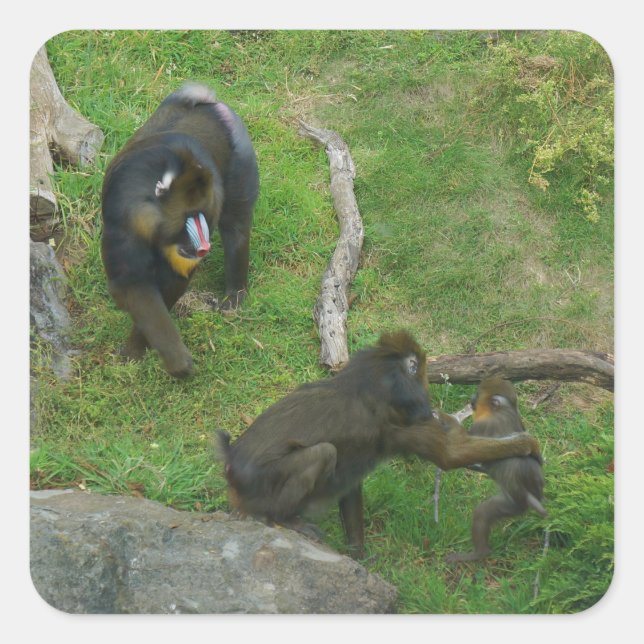 Mandrill #6 Stickers (Vorderseite)