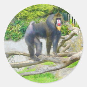 Mandrill #7 Stickers