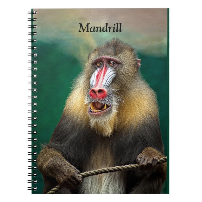 Mandrill, Afrikaner Notizblock (Vorderseite)