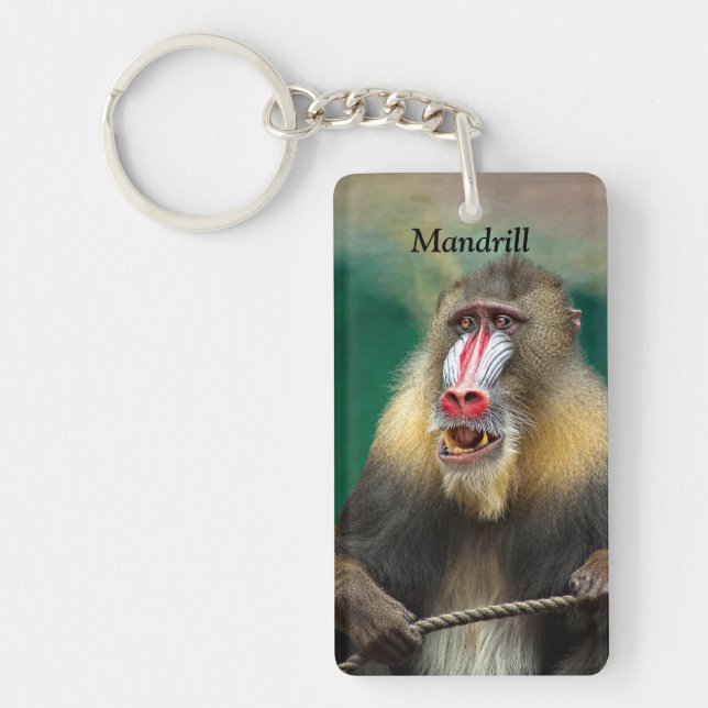 Mandrill, Afrikaner Schlüsselanhänger (Vorderseite)