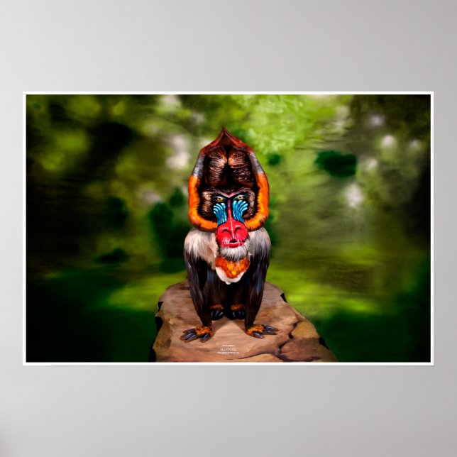 Mandrill Bodypainting Illusion Poster (Vorne)