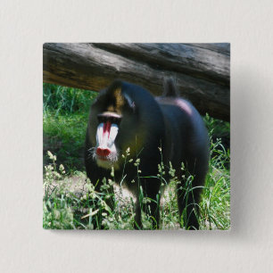 Mandrill Button