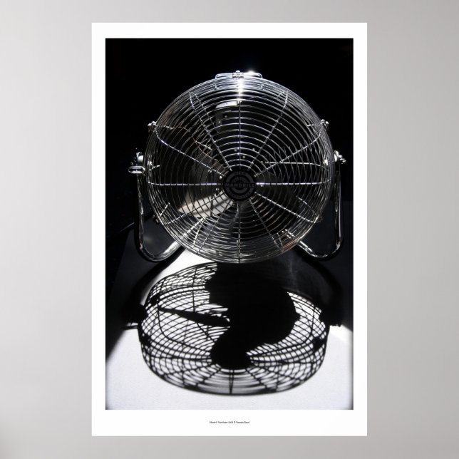 Mandrill Fan BW Still Life Fotografy L Poster (Vorne)