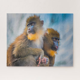 Mandrillaffen. Puzzle