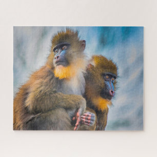Mandrillem (auch Mandrills) Puzzle