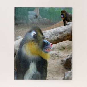 Mandrills Puzzle