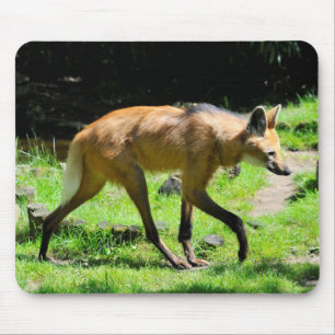 Maned Wolf auf Gras Mousepad