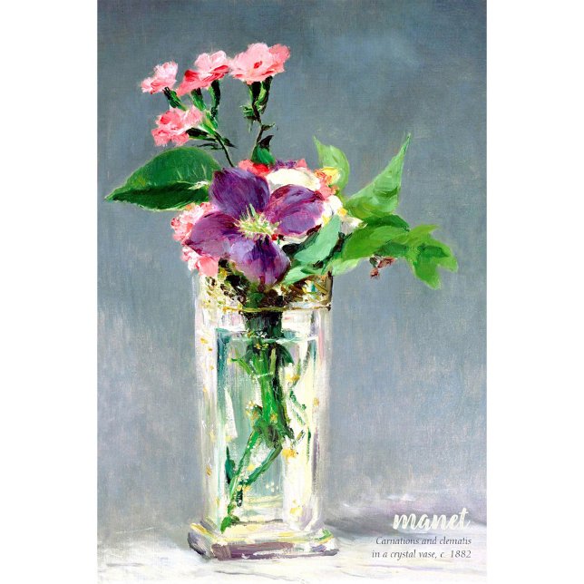 Manet Carnation clematis CC1240 Schöne Blume Poster (Von Creator hochgeladen)
