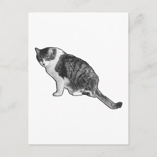 Manga-Katzen-Postkarte liefert grafische Feiertags Postkarte