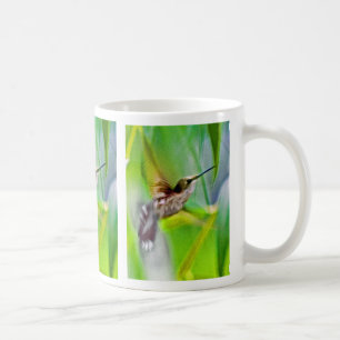 Mangel an Focus Hummingbird Tasse