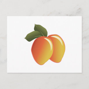 Mango Fruit Postkarte