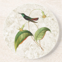 Mango Hummingbird Sandstone Untersetzer