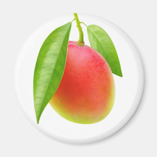 Mango Magnet