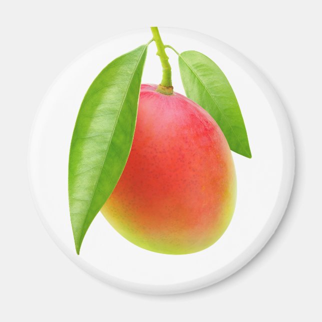 Mango Magnet (Vorne)