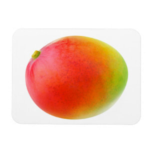 Mango Magnet