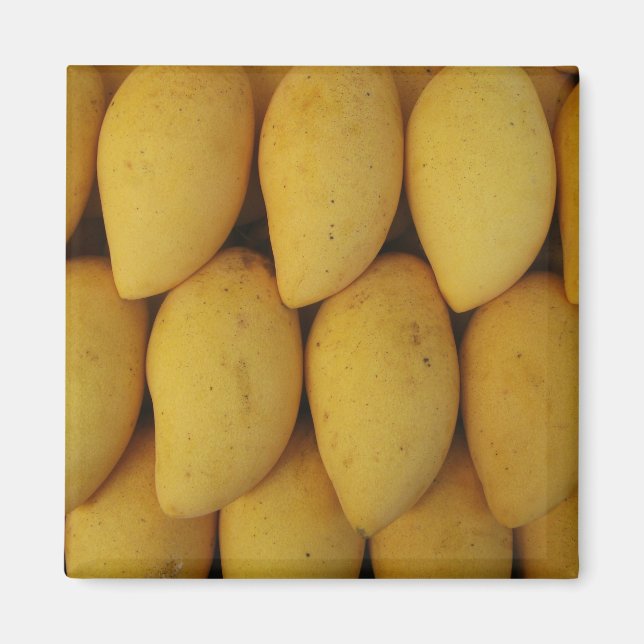 Mango Magnet (Vorne)