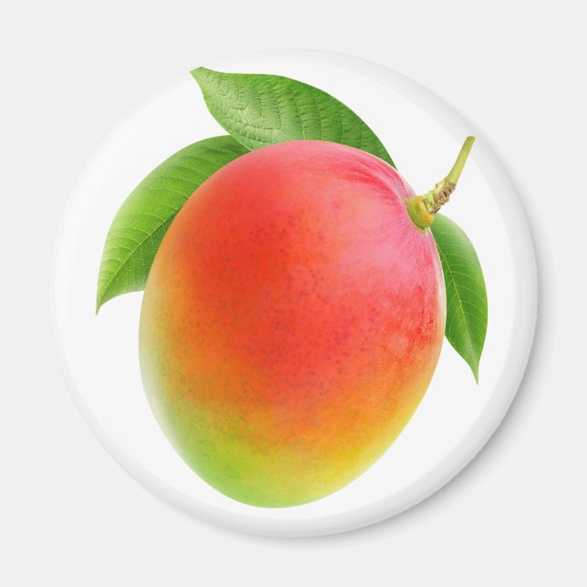 Mango Magnet (Vorne)